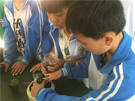 5微信图片_201811131619051.jpg