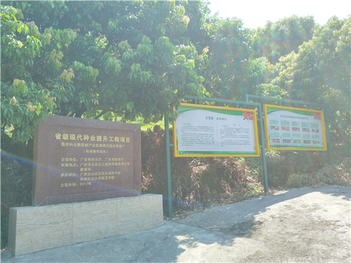 图片7.png