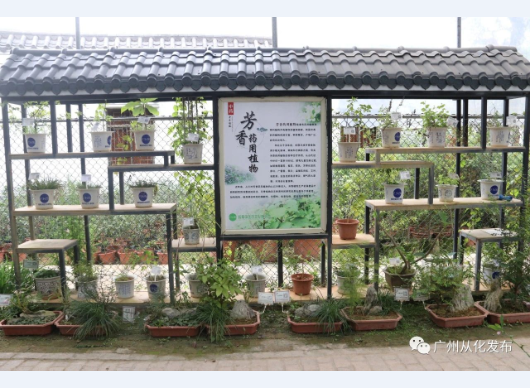 1590400682(1).png